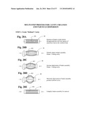 TWO-PART BONE CEMENT COMPOSITE CONTAINING PARTICLES IN A NON-UNIFORM SPATIAL DISTRIBUTION AND DEVICES FOR IMPLEMENTATION diagram and image