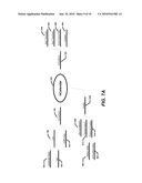 CONVERSION AND QUERY FOR DATA DRAGGED ON WEB-SITES diagram and image