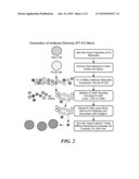 METHODS FOR INCREASING THE DIVERSITY OF MONOCLONAL ANTIBODIES PRODUCED AGAINST AN ANTIGEN diagram and image