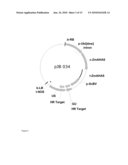 Method Of Excising A Nucleic Acid Sequence From A Plant Genome diagram and image