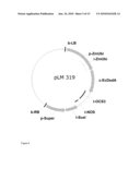 Method Of Excising A Nucleic Acid Sequence From A Plant Genome diagram and image