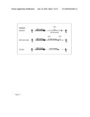 Method Of Excising A Nucleic Acid Sequence From A Plant Genome diagram and image