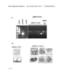 Method Of Excising A Nucleic Acid Sequence From A Plant Genome diagram and image