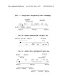 SITE-SPECIFIC INTEGRATION AND STACKING OF TRANSGENES IN SOYBEAN VIA DNA RECOMBINASE MEDIATED CASSETTE EXCHANGE diagram and image