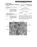 BONDED ABRASIVE TOOL AND METHOD OF FORMING diagram and image