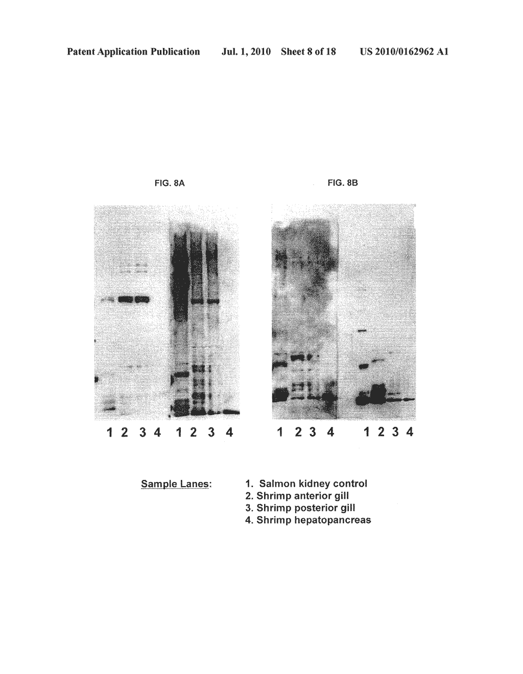 METHODS OF RAISING CRUSTACEANS IN LOW SALINITY WATER - diagram, schematic, and image 09