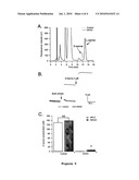 MICROSENSOR FOR DETECTION OF D-AMINO-ACIDS diagram and image