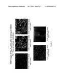 COLLOIDAL SUSPENSIONS diagram and image