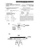 DUAL DETECTOR CAPILLARY WAVEGUIDE BIOSENSOR AND METHOD FOR USE THEREOF diagram and image