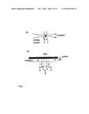 DUAL DETECTOR CAPILLARY WAVEGUIDE BIOSENSOR AND METHOD FOR USE THEREOF diagram and image