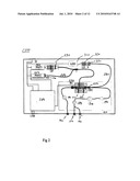 DUAL DETECTOR CAPILLARY WAVEGUIDE BIOSENSOR AND METHOD FOR USE THEREOF diagram and image