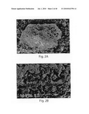 OXIDE COATINGS ON LITHIUM OXIDE PARTICLES diagram and image