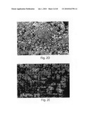 OXIDE COATINGS ON LITHIUM OXIDE PARTICLES diagram and image