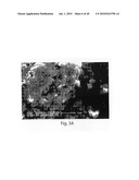 OXIDE COATINGS ON LITHIUM OXIDE PARTICLES diagram and image