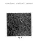 OXIDE COATINGS ON LITHIUM OXIDE PARTICLES diagram and image