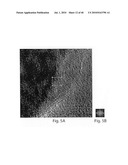 OXIDE COATINGS ON LITHIUM OXIDE PARTICLES diagram and image