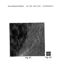 OXIDE COATINGS ON LITHIUM OXIDE PARTICLES diagram and image