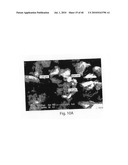 OXIDE COATINGS ON LITHIUM OXIDE PARTICLES diagram and image