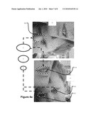 DETECTING ORIENTATION OF DIGITAL IMAGES USING FACE DETECTION INFORMATION diagram and image