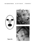 DETECTING ORIENTATION OF DIGITAL IMAGES USING FACE DETECTION INFORMATION diagram and image