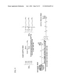 OPTICAL WAVEGUIDE MODE SENSOR HAVING PORES diagram and image