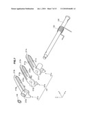 PAPER WIDTH DETECTION APPARATUS AND IMAGE FORMING APPARATUS diagram and image