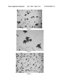 USE OF HYDROPHOBINS AS ADDITIVES IN THE CRYSTALLIZATION OF SOLIDS diagram and image