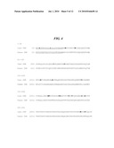 MONKEY HOMOLOG OF HUMAN ONCOSTATIN M diagram and image