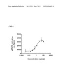 MONKEY HOMOLOG OF HUMAN ONCOSTATIN M diagram and image