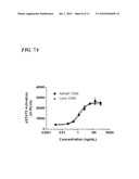 MONKEY HOMOLOG OF HUMAN ONCOSTATIN M diagram and image