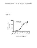 MONKEY HOMOLOG OF HUMAN ONCOSTATIN M diagram and image