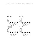 siRNA COMPOSITIONS AND METHODS FOR POTENTLY INHIBITING VIRAL INFECTION diagram and image