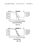 siRNA COMPOSITIONS AND METHODS FOR POTENTLY INHIBITING VIRAL INFECTION diagram and image