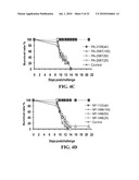siRNA COMPOSITIONS AND METHODS FOR POTENTLY INHIBITING VIRAL INFECTION diagram and image
