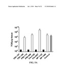 siRNA COMPOSITIONS AND METHODS FOR POTENTLY INHIBITING VIRAL INFECTION diagram and image