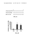 siRNA COMPOSITIONS AND METHODS FOR POTENTLY INHIBITING VIRAL INFECTION diagram and image