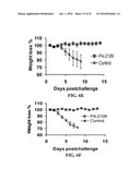 siRNA COMPOSITIONS AND METHODS FOR POTENTLY INHIBITING VIRAL INFECTION diagram and image