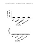 siRNA COMPOSITIONS AND METHODS FOR POTENTLY INHIBITING VIRAL INFECTION diagram and image