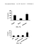 siRNA COMPOSITIONS AND METHODS FOR POTENTLY INHIBITING VIRAL INFECTION diagram and image