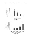 siRNA COMPOSITIONS AND METHODS FOR POTENTLY INHIBITING VIRAL INFECTION diagram and image