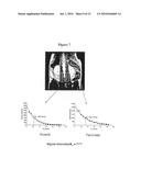 METHODS OF IMAGING INFLAMMATION IN PANCREATIC ISLETS diagram and image