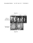 METHODS OF IMAGING INFLAMMATION IN PANCREATIC ISLETS diagram and image