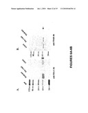 Methods and compositions for inhibition of viral replication diagram and image