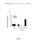 Methods and compositions for inhibition of viral replication diagram and image