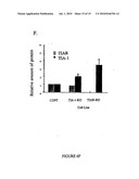 Methods and compositions for inhibition of viral replication diagram and image