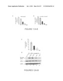 Methods and compositions for inhibition of viral replication diagram and image