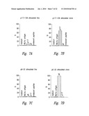 COMPOSITIONS AND METHODS FOR WT1 SPECIFIC IMMUNOTHERAPY diagram and image