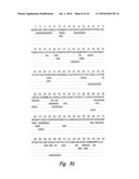 COMPOSITIONS AND METHODS FOR WT1 SPECIFIC IMMUNOTHERAPY diagram and image