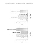 COMPOSITIONS AND METHODS FOR WT1 SPECIFIC IMMUNOTHERAPY diagram and image