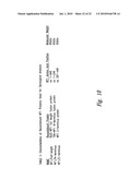 COMPOSITIONS AND METHODS FOR WT1 SPECIFIC IMMUNOTHERAPY diagram and image